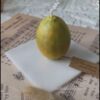 Lemon mold