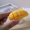 Mango Mold Large - Image 2