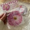 Pink Flowers Sticker Inserts