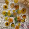Yellow Flowers Sticker Inserts - Image 2