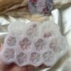 3D Flower Mold 46- Pansy Mold Multi slot