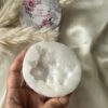 3D Flower Mold 14- Firangipani