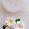 3D Flower Mold 14- Firangipani - Image 2