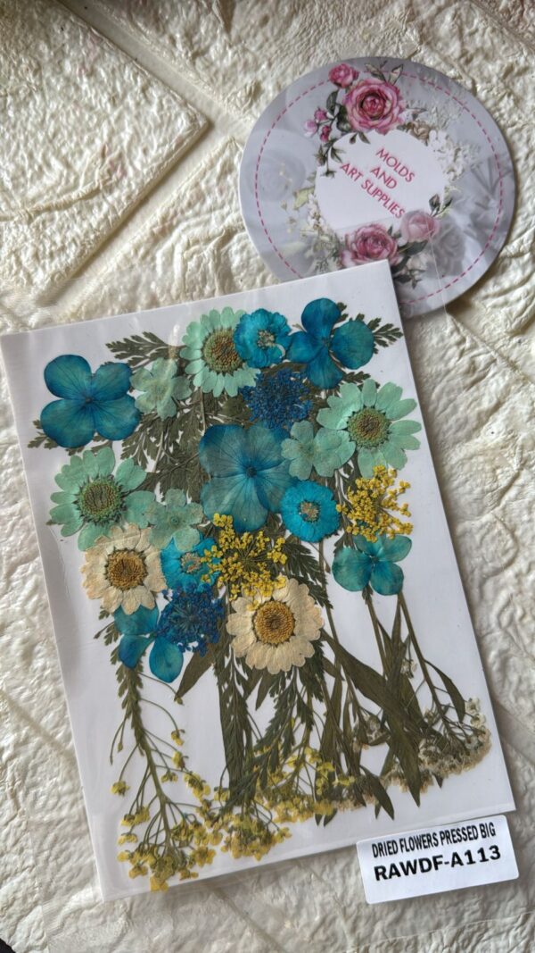 Pressed Flower Pack 7
