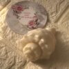 Shell Mold 001