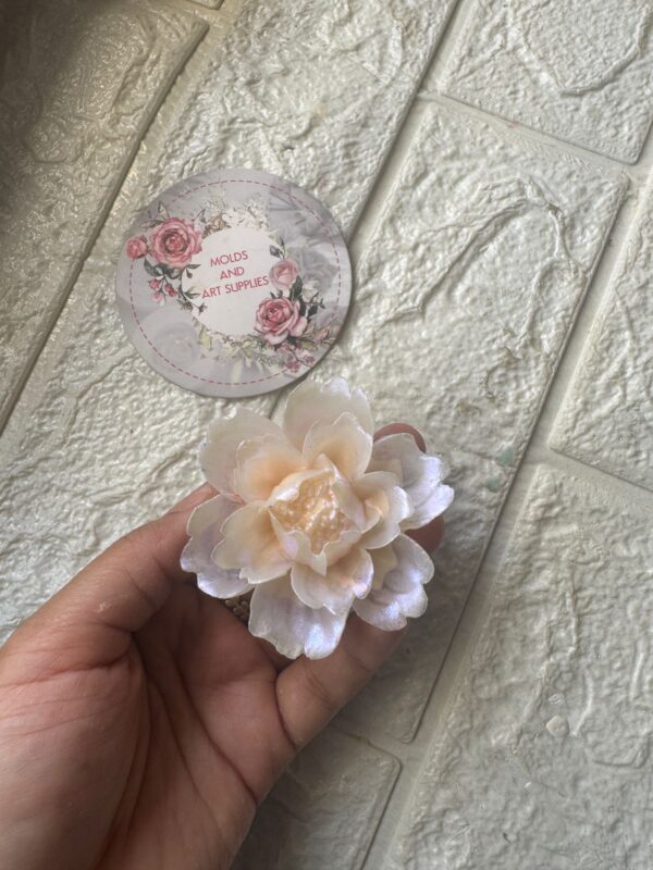peonie blush bloom