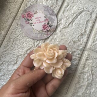 rose -bud and bloom set
