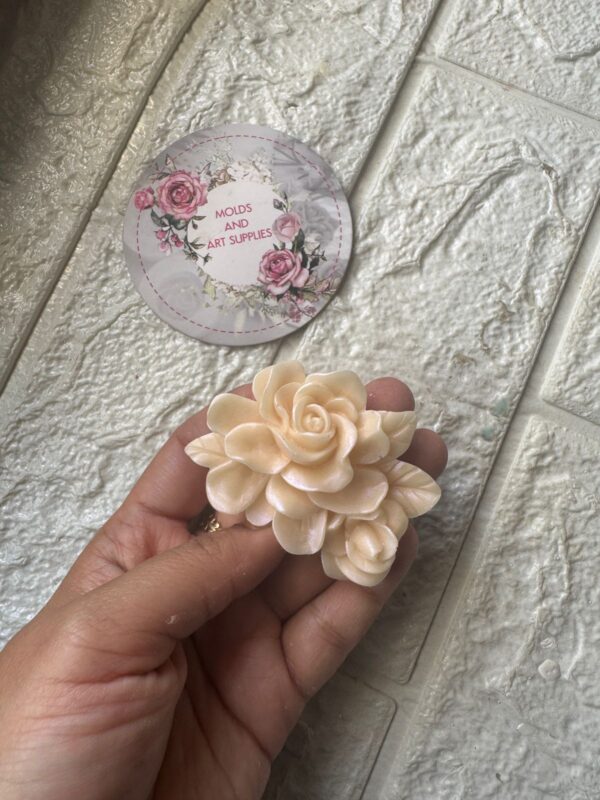 rose -bud and bloom set