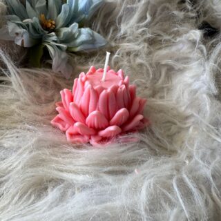 Lotus candle -divinity