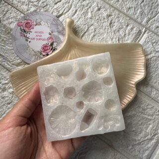 Lotus Pond Essentials 01