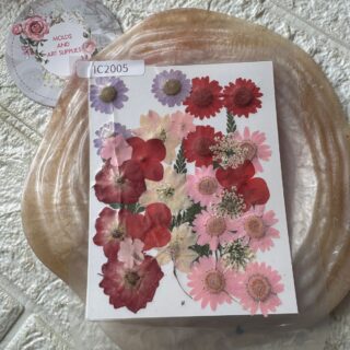 Pressed Flower Pack 01