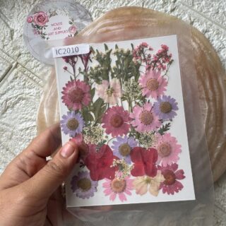 Pressed Flower Pack 02