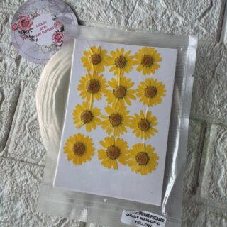 yellow daisy pack of 10