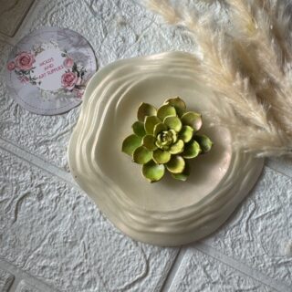 Succulent dream flower mold