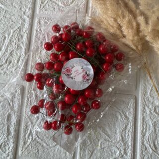 christmas themed berries pack