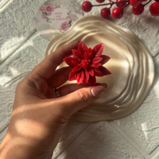 Poinsettia flower- Christmas Edit