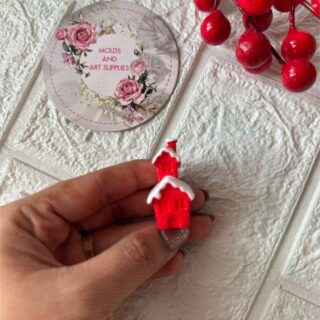 Snow covered house /home mold -4