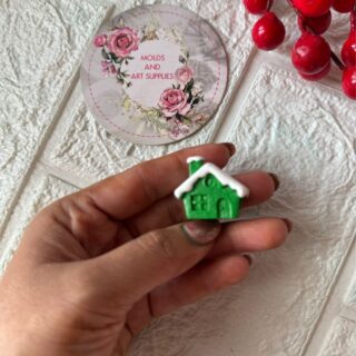 Snow covered house /home mold -1