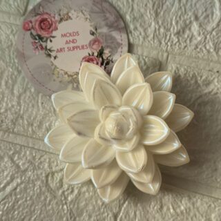 LOTUS mold