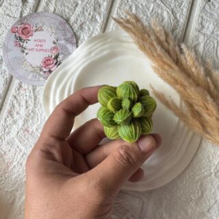 Succulet medium mold