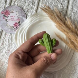 succulent cacti flat base mold