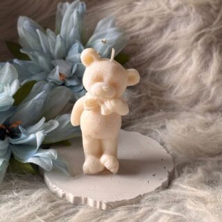 Adorable Standing teddy mold
