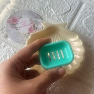 Mini soap dish mold