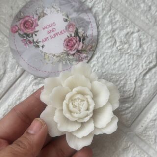 Peonie blush mold