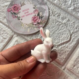 Rabbit mold