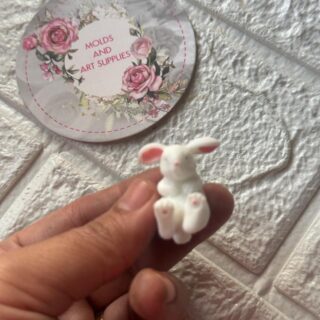 Rabbit baby mold - playful