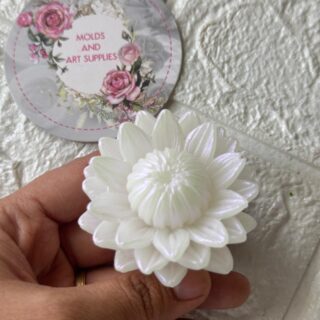 Blooming succulet flower mold