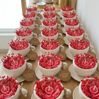 TEA cup and saucer  mold