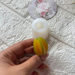 startfruit mold