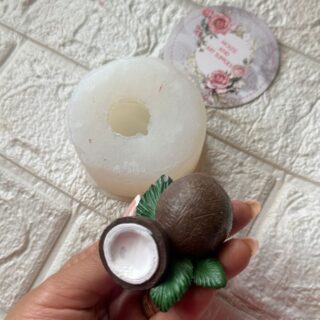 Large Cocunut topper mold
