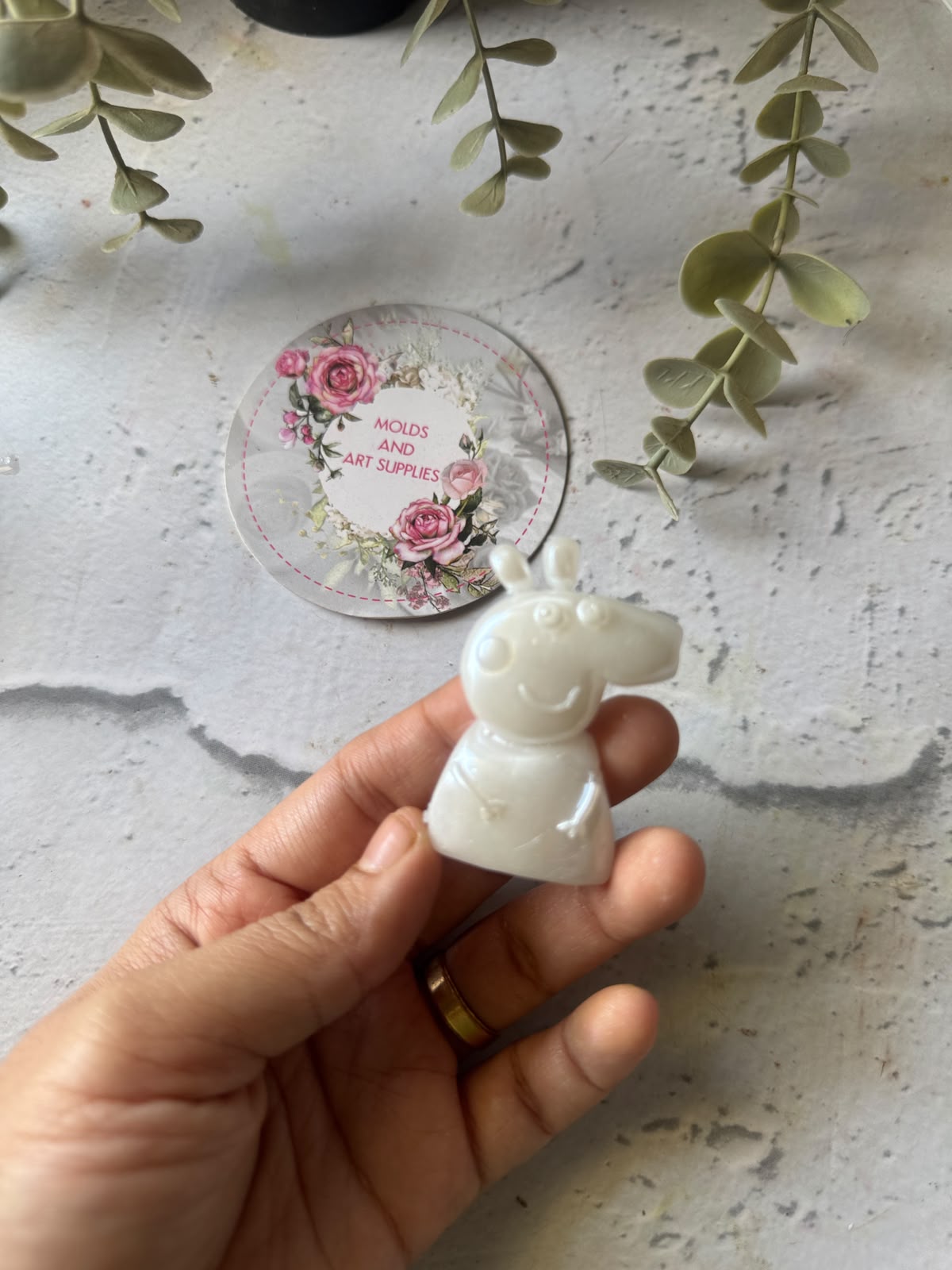 PEPPA PIG mold