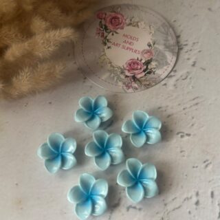 Firangi pani mold 6 cavity