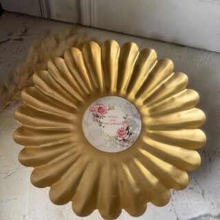 Scallop urli large