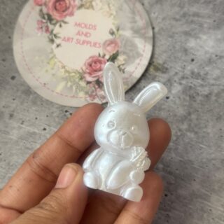 cute Bunny mold with carrot