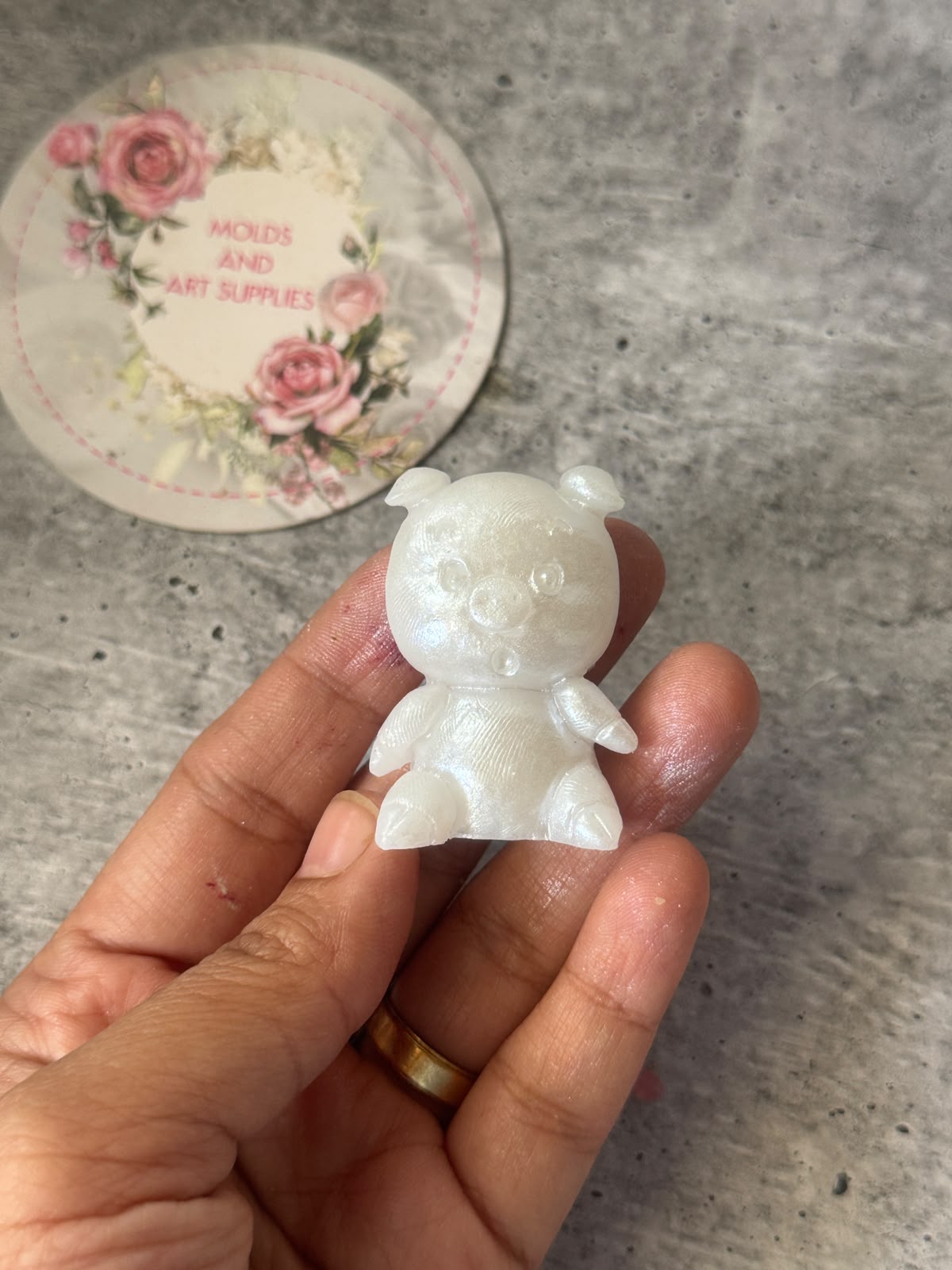 cute Pig mold